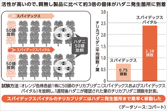 スパイデックスバイタル