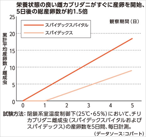 スパイデックスバイタル