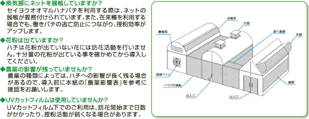 ご利用いただく前に（ナチュポール製品、アリスタ）