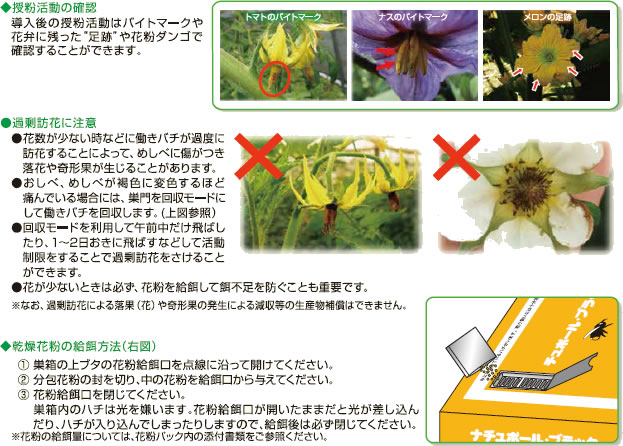 導入後の管理方法（ナチュポール製品、アリスタ）