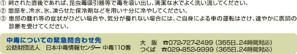 マルハナバチに刺された場合の処置方法（ナチュポール製品、アリスタ）