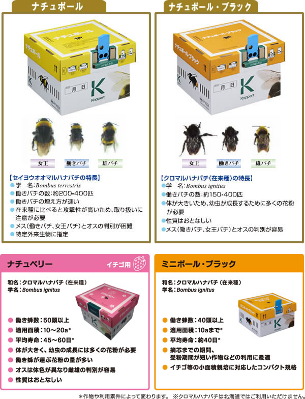 ナチュポールの巣箱説明