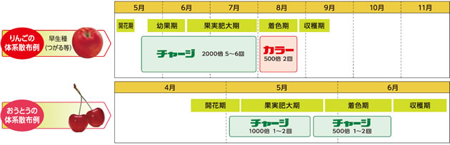 タフプラントシリーズ　散布カレンダー