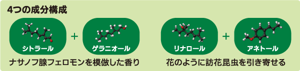 POLLINUS　ポリヌス