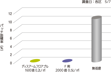 葉腐病（ラージパッチ） 