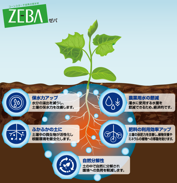 ZEBA（ゼバ） コーンスターチ由来の保水材
