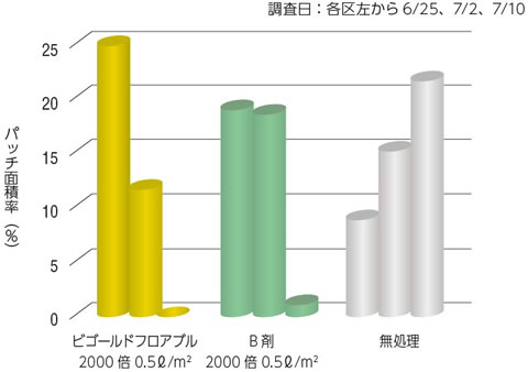 ビゴールド　病葉腐病（ブラウンパッチ）