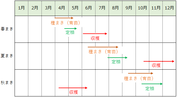 キャベツの栽培カレンダー（作型の目安）