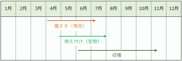きゅうりの栽培カレンダー（作型の目安）