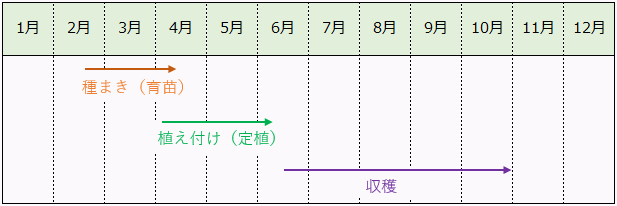 茄子（なす）の栽培カレンダー（作型の目安)