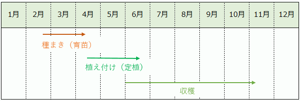 ピーマンの栽培カレンダー（作型の目安）