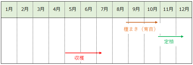 たまねぎの栽培カレンダー（作型の目安）