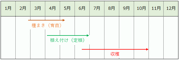 トマトの栽培カレンダー（作型の目安）