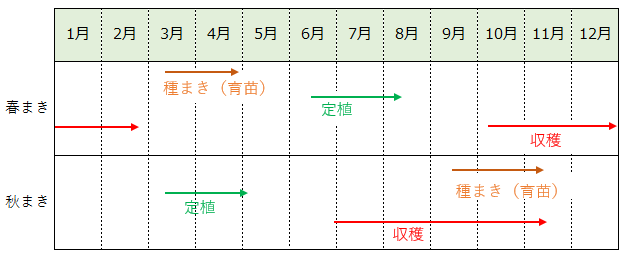 長ねぎ（根深ねぎ）の栽培カレンダー（作型の目安）