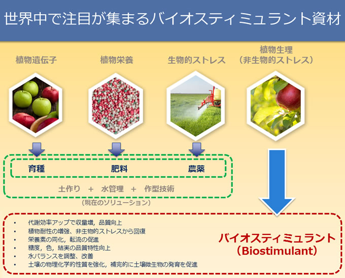 世界中で注目が集まるバイオスティミュラント資材