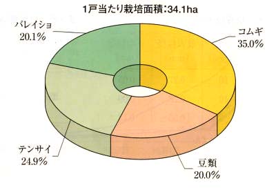農家一戸当りの作付け動向(十勝:農業センサス)