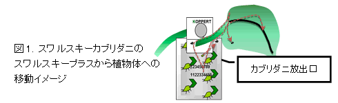 スワルスキープラス（吊り下げ型パック製剤）の登場