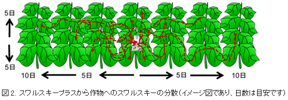 スワルスキープラス（吊り下げ型パック製剤）の登場