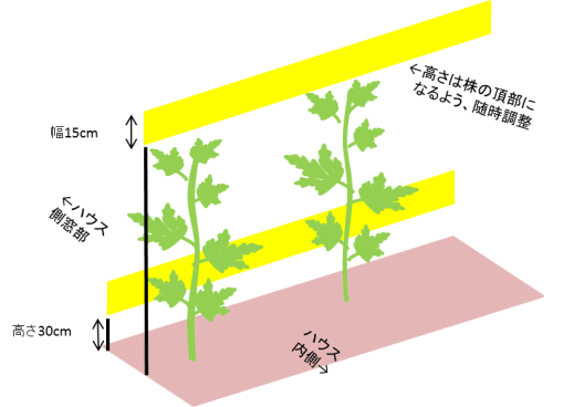 図1 ホリバーロールの設置のようす（施設トマト） 