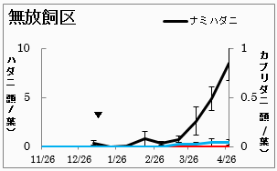 奈良県におけるカブリダニ製剤を利用した促成イチゴのナミハダニ黄緑型の防除