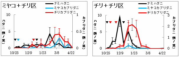 奈良県におけるカブリダニ製剤を利用した促成イチゴのナミハダニ黄緑型の防除