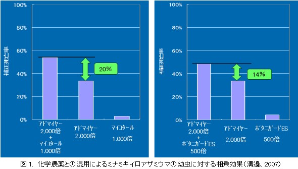 昆虫寄生菌製剤の上手な使い方