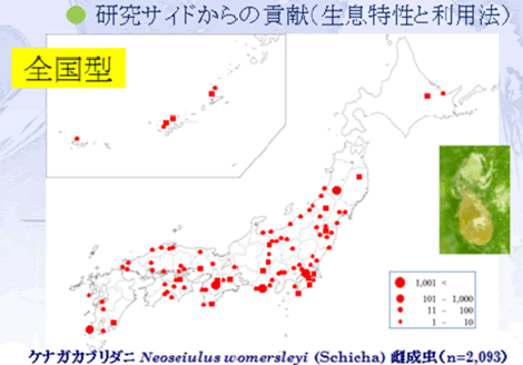 天敵利用が進むカブリダニとは一体どんな生き物？