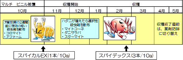 「スパイカルEX」の特長と使い方