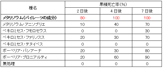 ミナミキイロアザミウマに対する各種糸状菌の病原力 