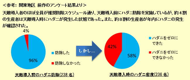 イチゴ天敵利用最前線