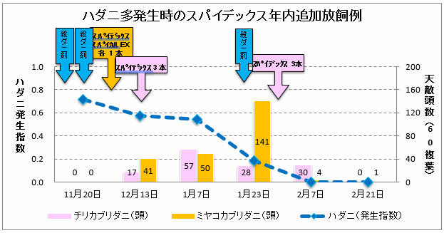 イチゴ天敵利用最前線