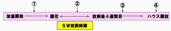 天敵利用を基幹としたIPMプログラム実証のポイント 