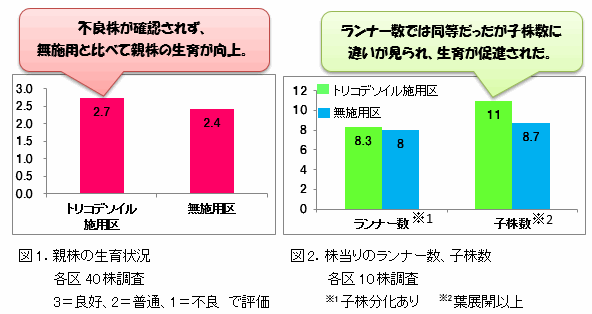 トリコデソイルの施用例 