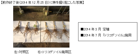 産地における新たな取り組み（ナス、トリコデソイル） 