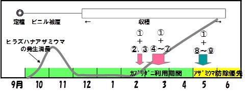 図1．イチゴ栽培でのヒラズハナアザミウマ防除プログラムモデル