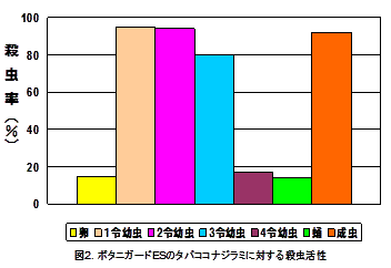 トマトでのタバココナジラミ防除対策