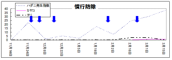 イチゴ栽培におけるスパイカルEXとスパイデックスの同時防除の有効性