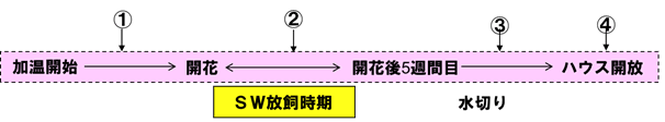 IPMプログラム