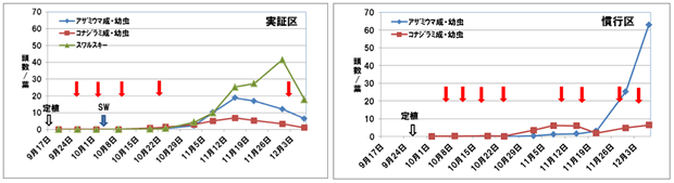 図1.　施設メロン抑制作における天敵および害虫の推移（H25）