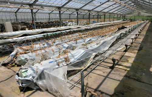 平成28年熊本地震・農業被災の現状と復旧に向けて