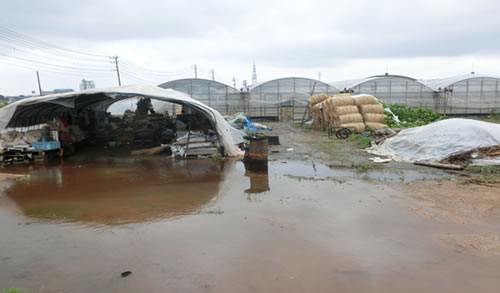 平成２８年熊本地震・農業被災の現状と復旧に向けて