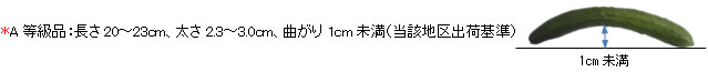 ハーモザイムの効果実証試験について