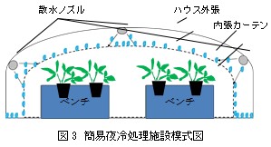 第4回農業普及活動高度化全国研究大会　農林水産大臣賞受賞事例