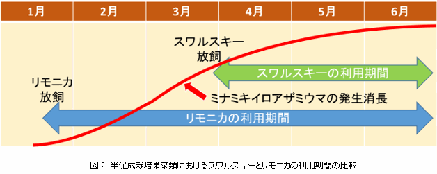 半促成栽培果菜類でのリモニカの利用