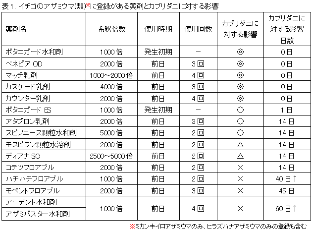 天敵利用者のイチゴの春先のアザミウマ類防除について