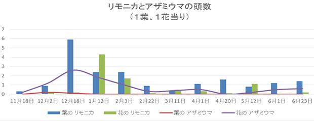 茨城県の促成栽培ピーマンでリモニカを試験して