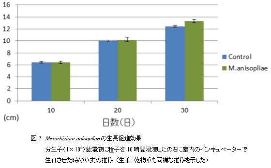 昆虫病原糸状菌の昆虫への病原性以外の重要な特性とその作用