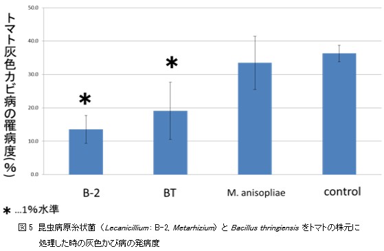 昆虫病原糸状菌の昆虫への病原性以外の重要な特性とその作用