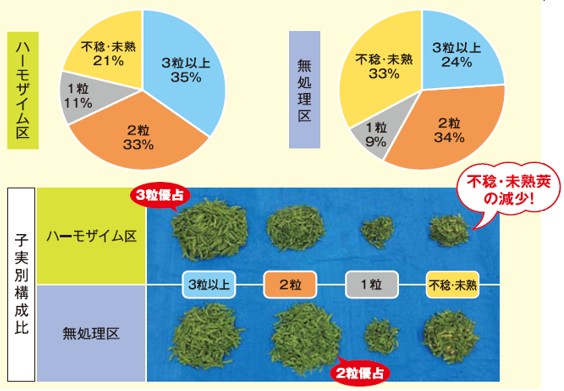 バイオスティミュラント（肥料） 「ハーモザイム」の枝豆への適用について