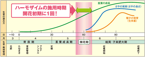 バイオスティミュラント（肥料） 「ハーモザイム」の枝豆への適用について